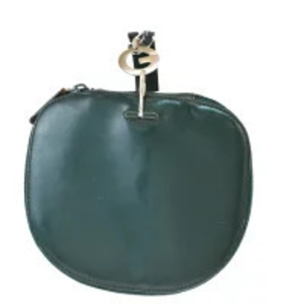 Gucci Vanity Bag Green Leather